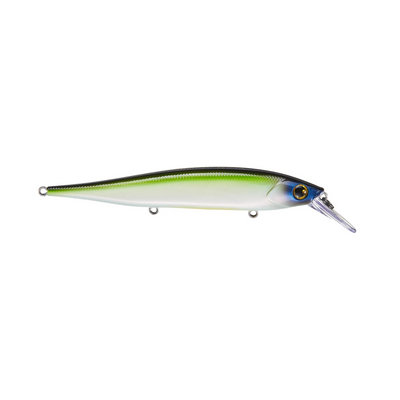 HC 95 Jerkbait