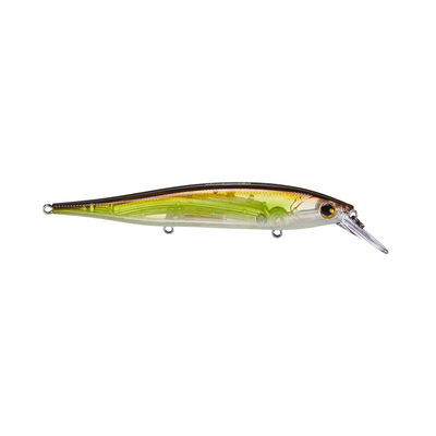 HC 95 Jerkbait