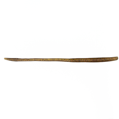 Big Sandy Worm 11"